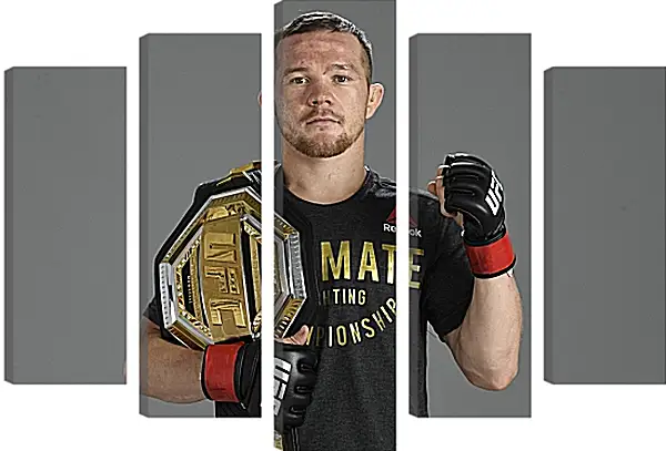 Модульная картина - UFC. MMA. Пётр Ян Модульная картина - UFC. MMA. Пётр Ян