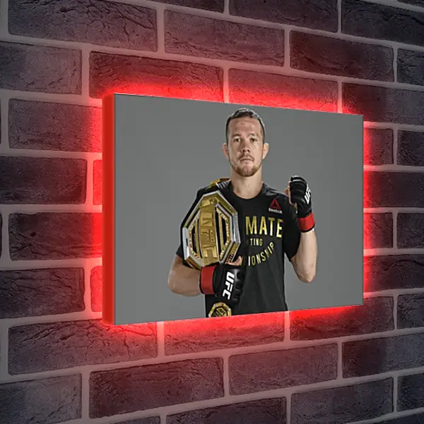 Лайтбокс световая панель - UFC. MMA. Пётр Ян Лайтбокс световая панель - UFC. MMA. Пётр Ян