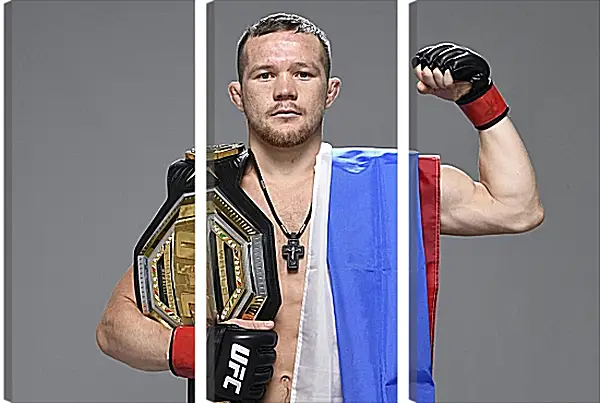 Модульная картина - UFC. MMA. Пётр Ян Модульная картина - UFC. MMA. Пётр Ян