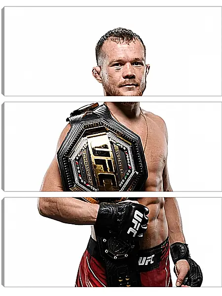 Модульная картина - UFC. MMA. Пётр Ян Модульная картина - UFC. MMA. Пётр Ян
