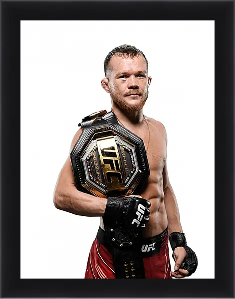 Картина в раме - UFC. MMA. Пётр Ян Картина в раме - UFC. MMA. Пётр Ян