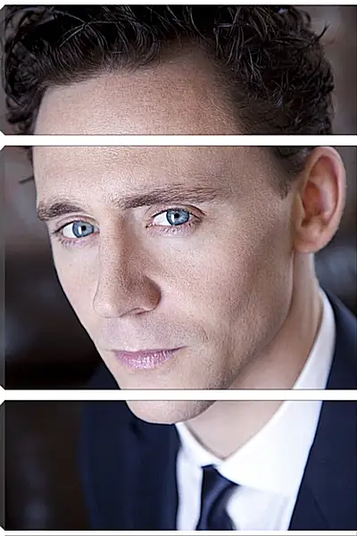 Модульная картина - Том Хиддлстон. Thomas Hiddleston Модульная картина - Том Хиддлстон. Thomas Hiddleston
