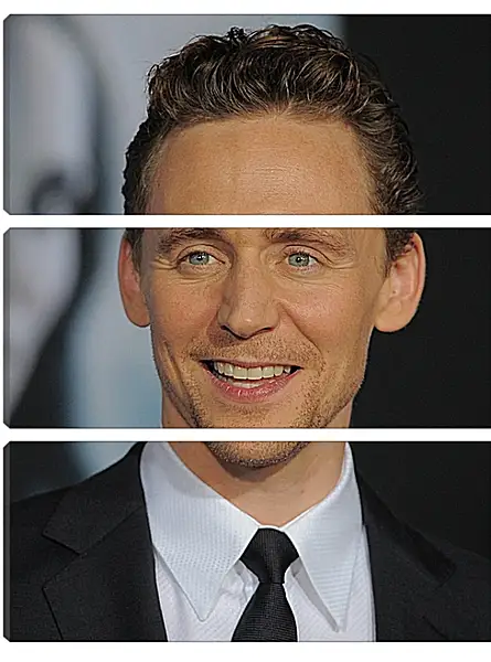 Модульная картина - Том Хиддлстон. Thomas Hiddleston Модульная картина - Том Хиддлстон. Thomas Hiddleston