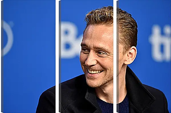 Модульная картина - Том Хиддлстон. Thomas Hiddleston Модульная картина - Том Хиддлстон. Thomas Hiddleston