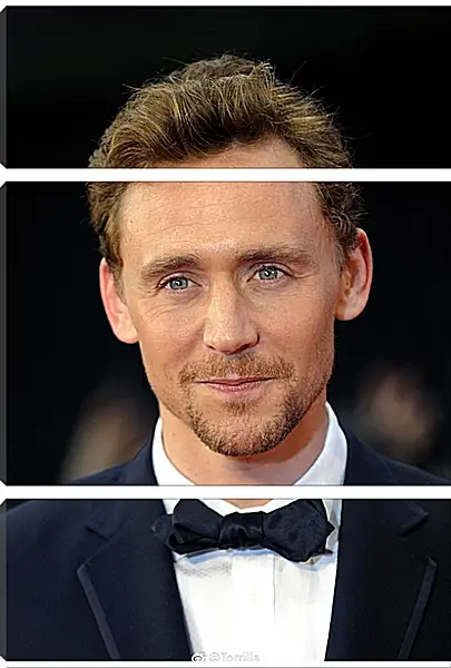 Модульная картина - Том Хиддлстон. Thomas Hiddleston Модульная картина - Том Хиддлстон. Thomas Hiddleston