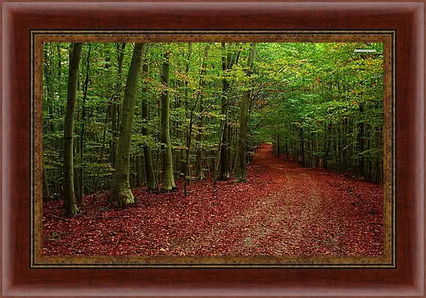 Картина в раме - Осень Картина в раме - Осень