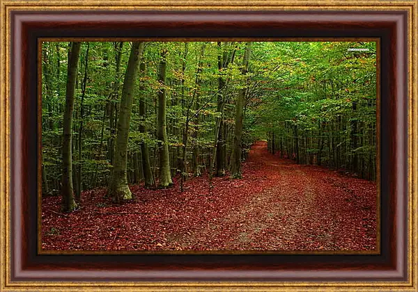 Картина в раме - Осень Картина в раме - Осень