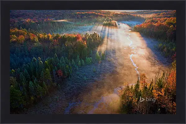 Картина в раме - Осень Картина в раме - Осень