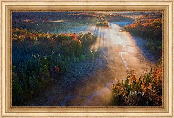 Картина в раме - Осень Картина в раме - Осень