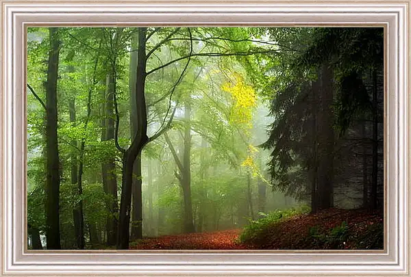 Картина в раме - Осень Картина в раме - Осень