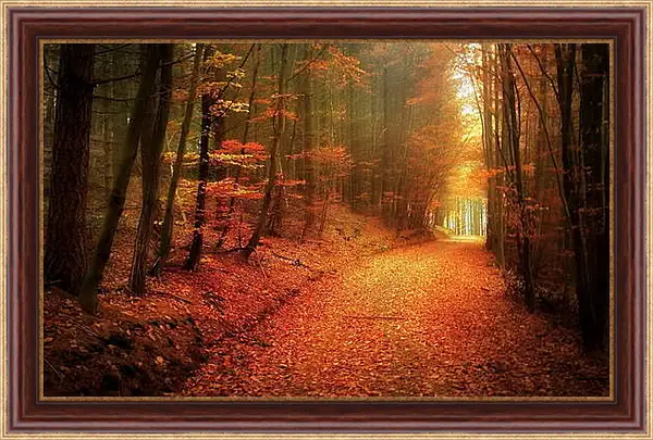 Картина в раме - Осень Картина в раме - Осень