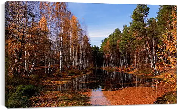 Постер на подрамнике - Осень Постер на подрамнике - Осень
