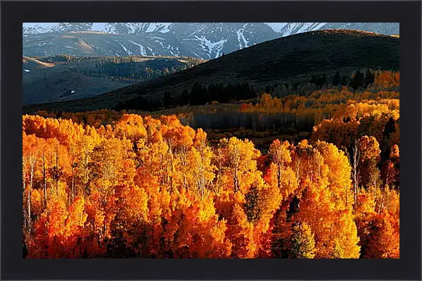 Картина в раме - Осень Картина в раме - Осень