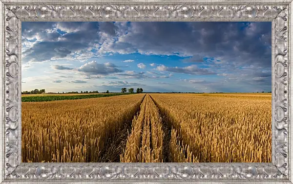 Картина в раме - Пейзаж Картина в раме - Пейзаж