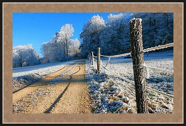 Картина в раме - Зима Картина в раме - Зима