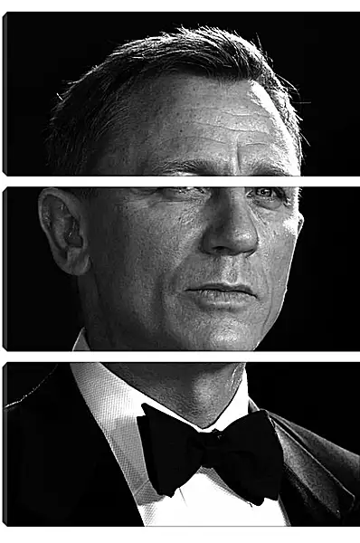 Модульная картина - Дэниел Крейг. Daniel Craig Модульная картина - Дэниел Крейг. Daniel Craig