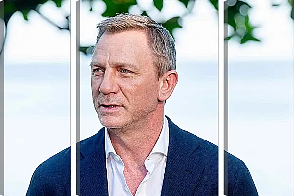 Модульная картина - Дэниел Крейг. Daniel Craig Модульная картина - Дэниел Крейг. Daniel Craig