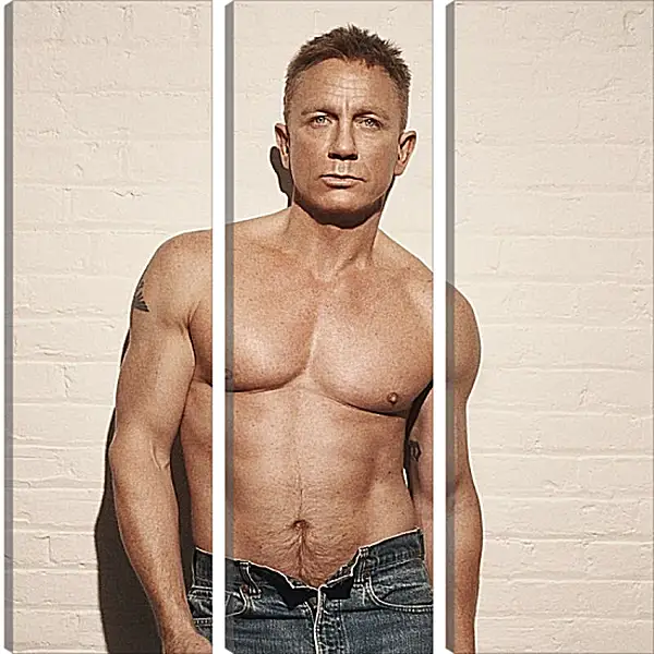 Модульная картина - Дэниел Крейг. Daniel Craig Модульная картина - Дэниел Крейг. Daniel Craig