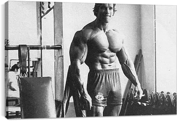 Постер на подрамнике - Арнольд Шварценеггер (Arnold Schwarzenegger) Постер на подрамнике - Арнольд Шварценеггер (Arnold Schwarzenegger)