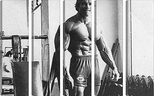 Модульная картина - Арнольд Шварценеггер (Arnold Schwarzenegger) Модульная картина - Арнольд Шварценеггер (Arnold Schwarzenegger)