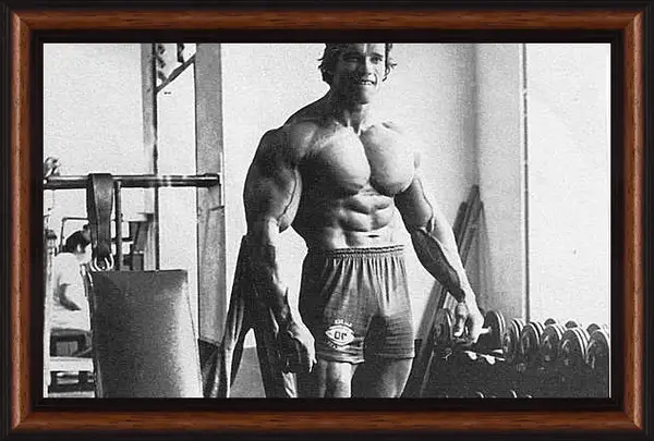 Картина в раме - Арнольд Шварценеггер (Arnold Schwarzenegger) Картина в раме - Арнольд Шварценеггер (Arnold Schwarzenegger)