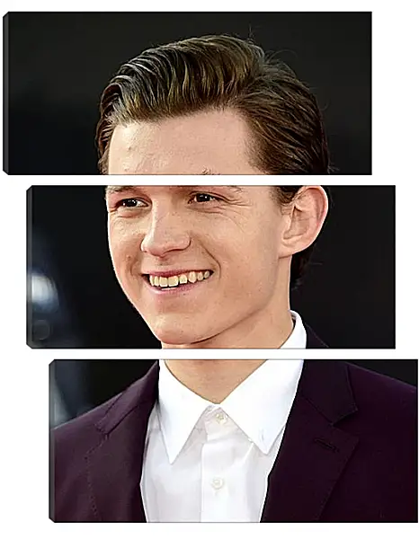 Модульная картина - Том Холланд. Tom Holland Модульная картина - Том Холланд. Tom Holland