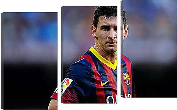 Модульная картина - Лионель Месси (Lionel Andres Messi) Модульная картина - Лионель Месси (Lionel Andres Messi)