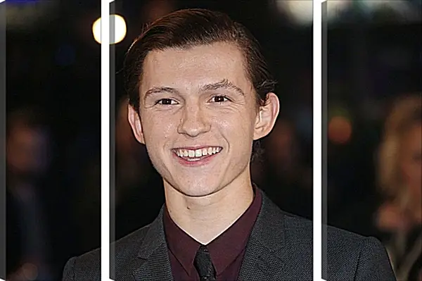 Модульная картина - Том Холланд. Tom Holland Модульная картина - Том Холланд. Tom Holland