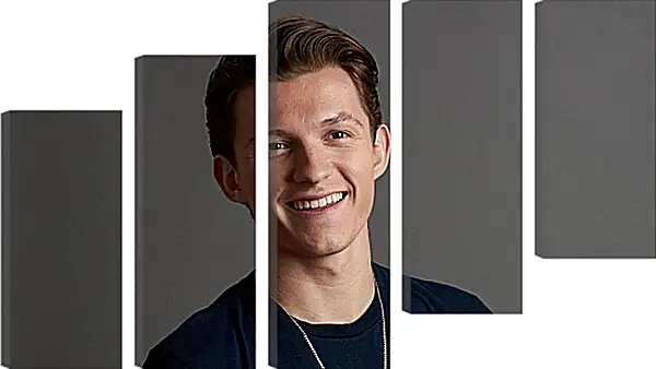 Модульная картина - Том Холланд. Tom Holland Модульная картина - Том Холланд. Tom Holland