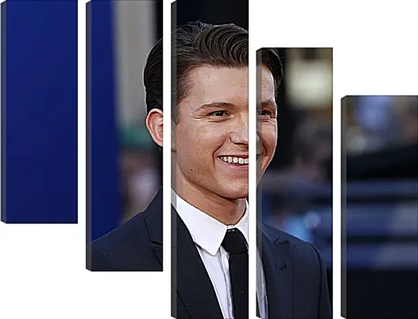 Модульная картина - Том Холланд. Tom Holland Модульная картина - Том Холланд. Tom Holland