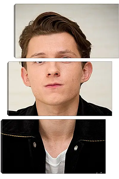 Модульная картина - Том Холланд. Tom Holland Модульная картина - Том Холланд. Tom Holland