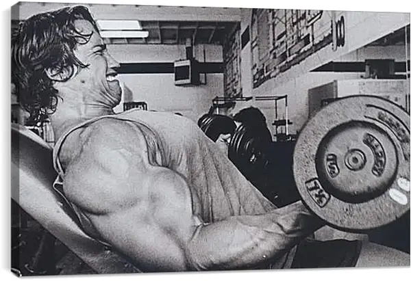 Постер на подрамнике - Шварценеггер Арнольд (Arnold Schwarzenegger) Постер на подрамнике - Шварценеггер Арнольд (Arnold Schwarzenegger)