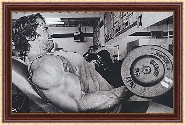 Картина в раме - Шварценеггер Арнольд (Arnold Schwarzenegger) Картина в раме - Шварценеггер Арнольд (Arnold Schwarzenegger)