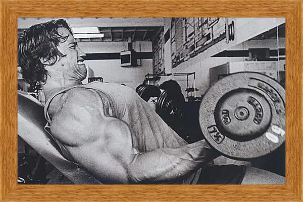 Картина в раме - Шварценеггер Арнольд (Arnold Schwarzenegger) Картина в раме - Шварценеггер Арнольд (Arnold Schwarzenegger)