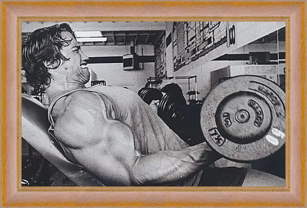Картина в раме - Шварценеггер Арнольд (Arnold Schwarzenegger) Картина в раме - Шварценеггер Арнольд (Arnold Schwarzenegger)