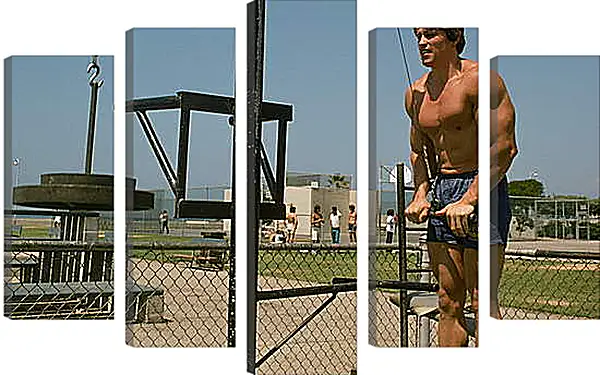 Модульная картина - Шварценеггер Арнольд (Arnold Schwarzenegger) Модульная картина - Шварценеггер Арнольд (Arnold Schwarzenegger)