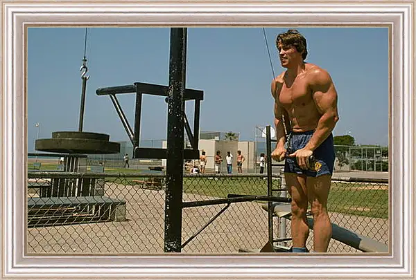 Картина в раме - Шварценеггер Арнольд (Arnold Schwarzenegger) Картина в раме - Шварценеггер Арнольд (Arnold Schwarzenegger)