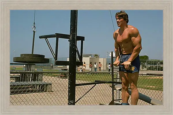 Картина в раме - Шварценеггер Арнольд (Arnold Schwarzenegger) Картина в раме - Шварценеггер Арнольд (Arnold Schwarzenegger)