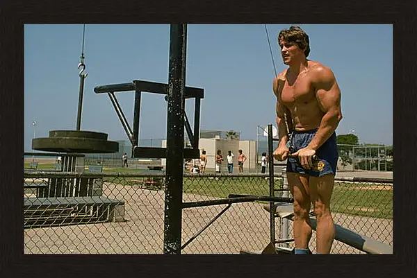 Картина в раме - Шварценеггер Арнольд (Arnold Schwarzenegger) Картина в раме - Шварценеггер Арнольд (Arnold Schwarzenegger)