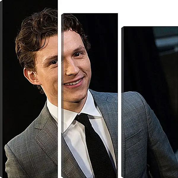 Модульная картина - Том Холланд. Tom Holland Модульная картина - Том Холланд. Tom Holland