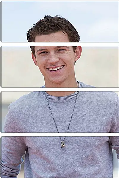 Модульная картина - Том Холланд. Tom Holland Модульная картина - Том Холланд. Tom Holland