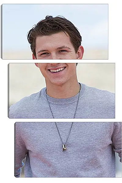 Модульная картина - Том Холланд. Tom Holland Модульная картина - Том Холланд. Tom Holland