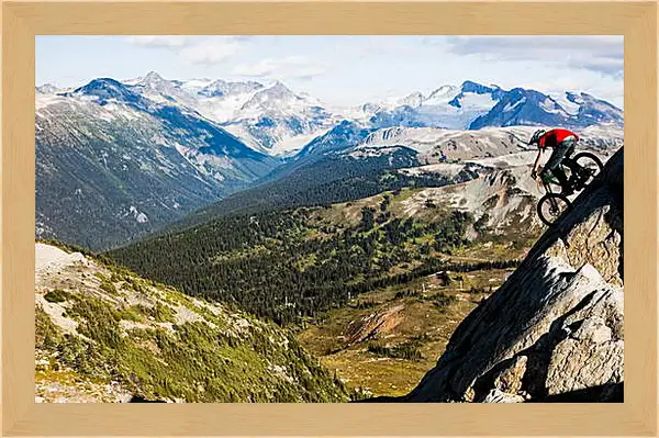 Картина в раме - Спорт Картина в раме - Спорт