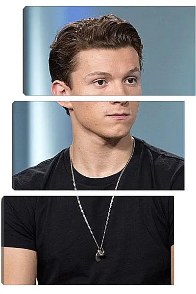 Модульная картина - Том Холланд. Tom Holland Модульная картина - Том Холланд. Tom Holland