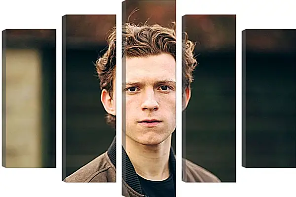 Модульная картина - Том Холланд. Tom Holland Модульная картина - Том Холланд. Tom Holland
