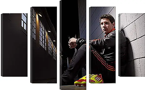 Модульная картина - Лионель Месси (Lionel Andres Messi ) Модульная картина - Лионель Месси (Lionel Andres Messi )