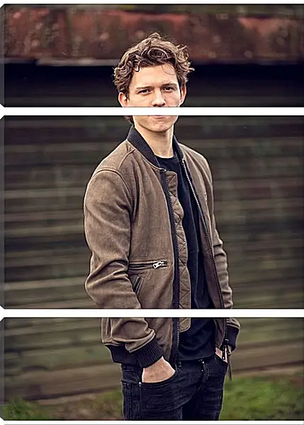 Модульная картина - Том Холланд. Tom Holland Модульная картина - Том Холланд. Tom Holland