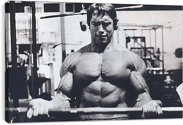 Постер на подрамнике - Шварценеггер Арнольд (Arnold Schwarzenegger) Постер на подрамнике - Шварценеггер Арнольд (Arnold Schwarzenegger)