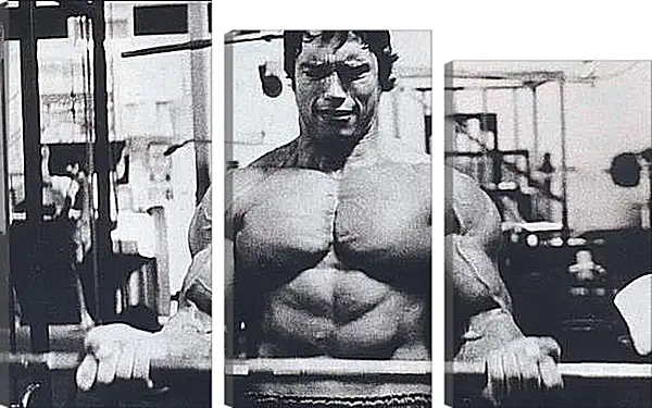 Модульная картина - Шварценеггер Арнольд (Arnold Schwarzenegger) Модульная картина - Шварценеггер Арнольд (Arnold Schwarzenegger)