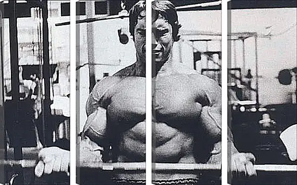 Модульная картина - Шварценеггер Арнольд (Arnold Schwarzenegger) Модульная картина - Шварценеггер Арнольд (Arnold Schwarzenegger)